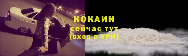 соль ск Абаза
