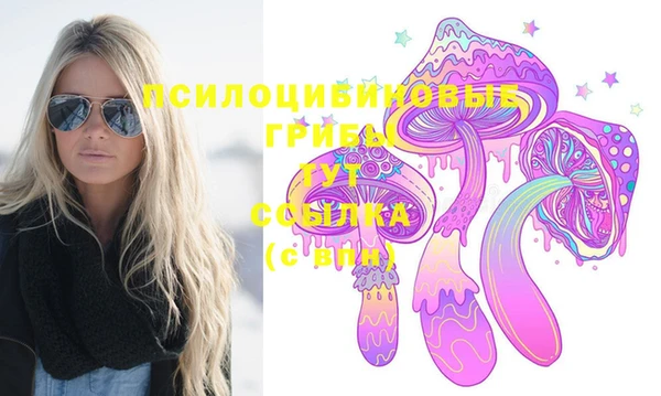 сатива Абдулино