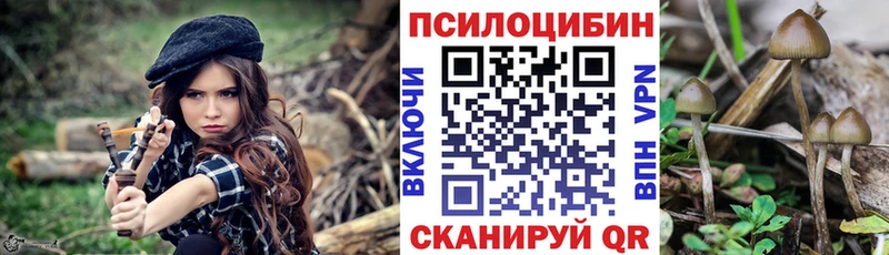 Псилоцибиновые грибы Psilocybine cubensis  мега ССЫЛКА  Берёзовка 